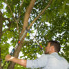 Kìm cắt cành Gardena 65-90cm 12009-20 Kìm cắt cành Gardena 65-90cm 12009-20