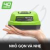 2910907-G40UC-BO-SAC-PIN-40V---(4)