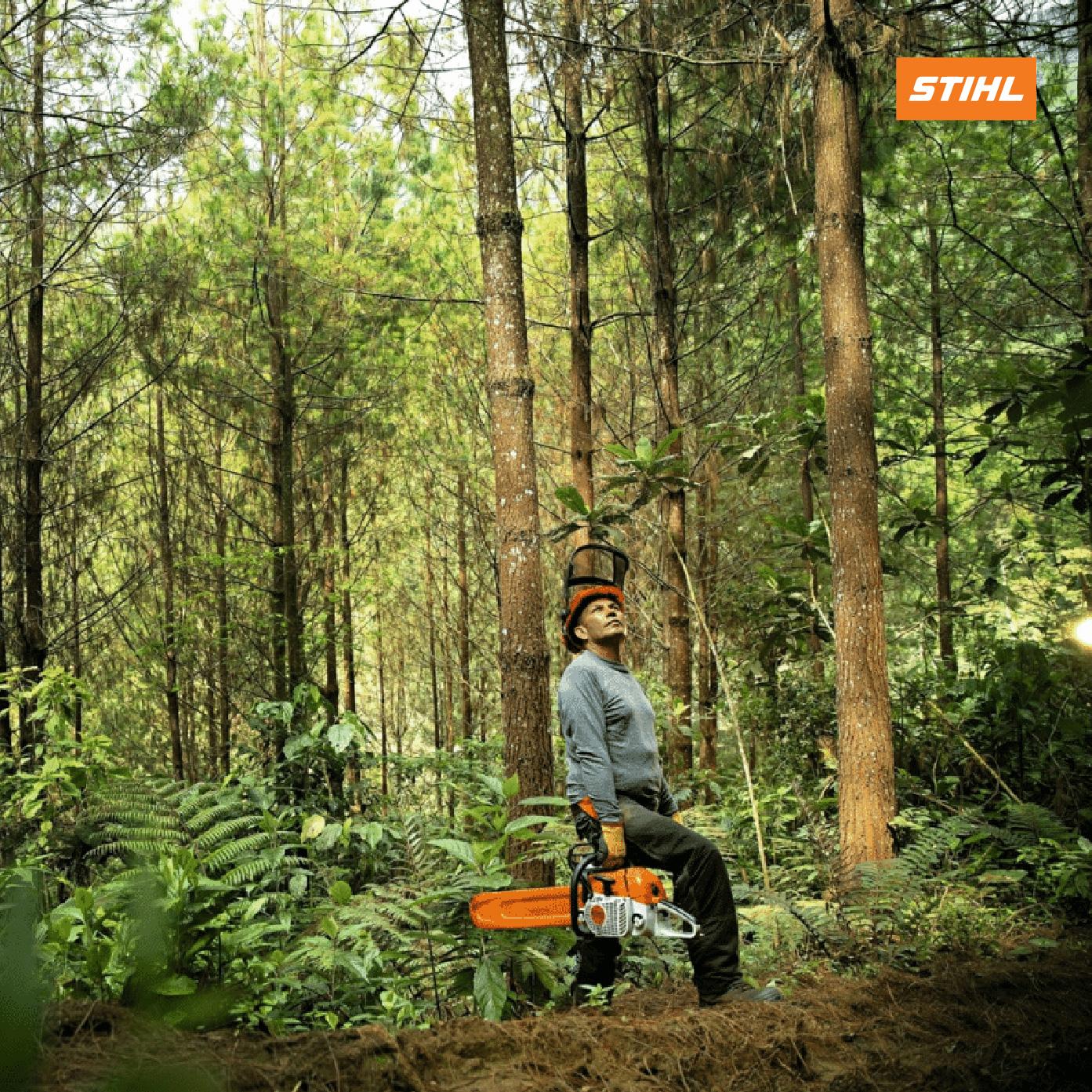 stihl-ms230-ung-dung