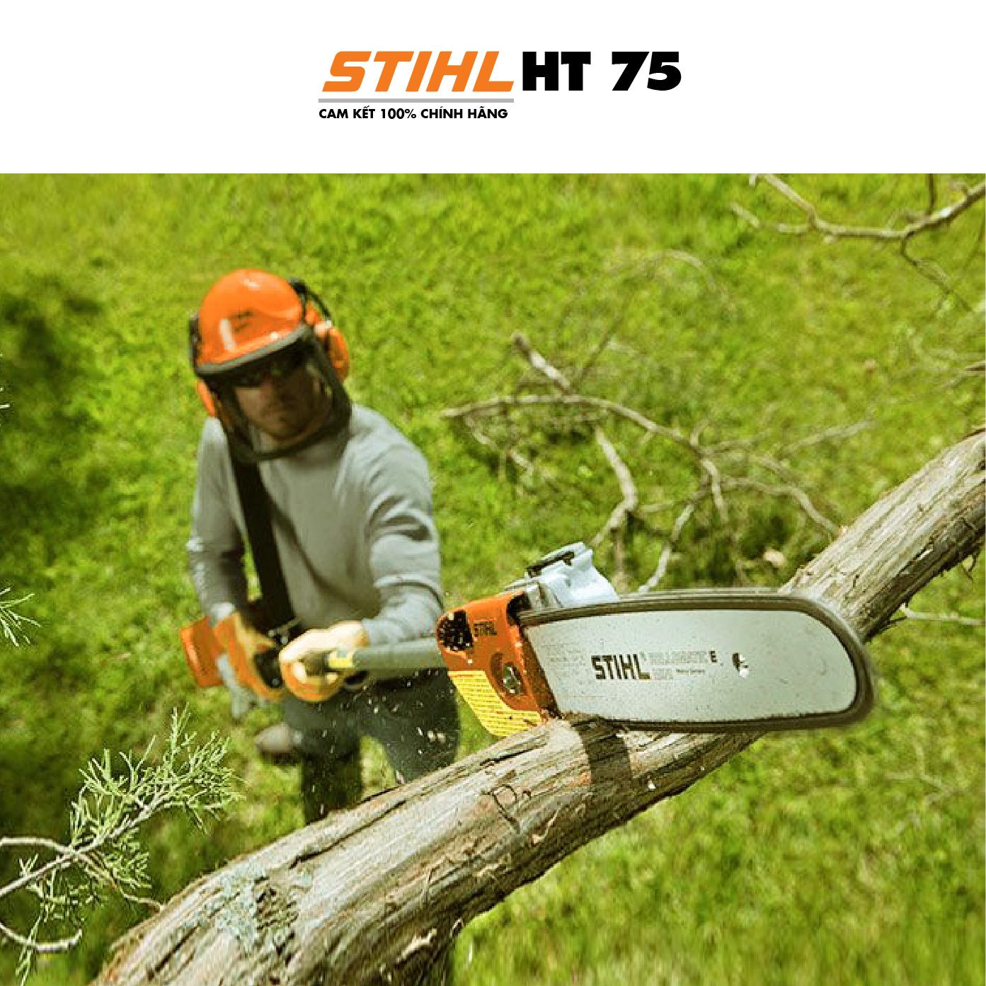 ứng dụng máy cưa cành cao STIHL HT75